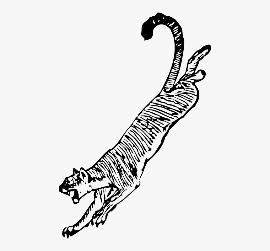 Tiger, Jumping, Attacking, Attacker, Dangerous, Animals - Cougar Clip Art, HD Png Download