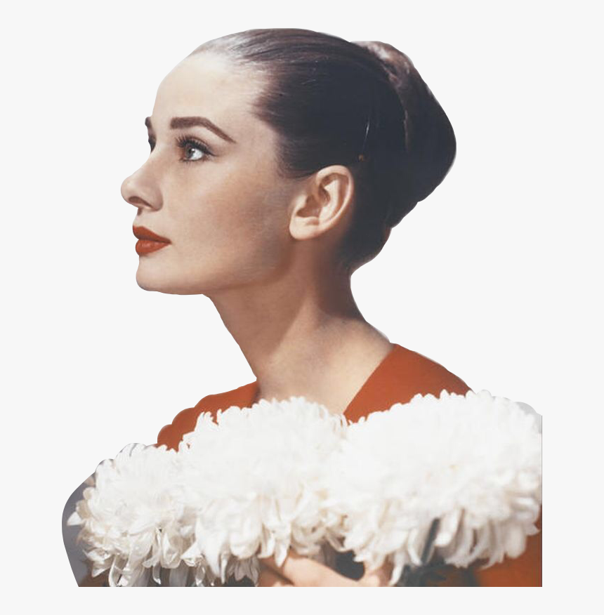 #audrey #hepburn #audreyhepburn #actress #flowers #movie - オードリー ヘップバーン 横顔, HD Png Download