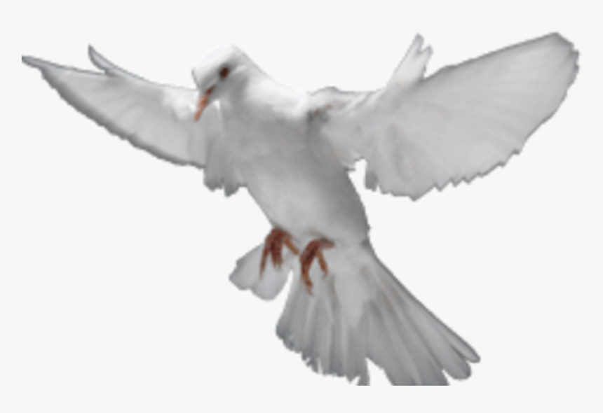Holy Spirit Images Transparent, HD Png Download