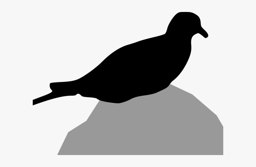 Turtle Dove Clipart Holy Spirit - Pigeons And Doves, HD Png Download
