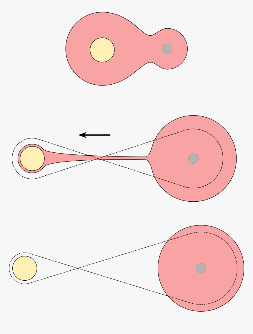 Star Fission Common Envelope - Fission Hypothesis Binary Star, HD Png Download