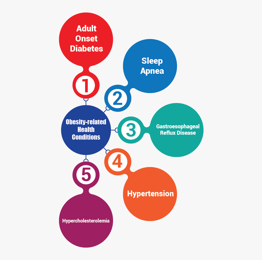 Vision And Mission Infographic - Circle, HD Png Download