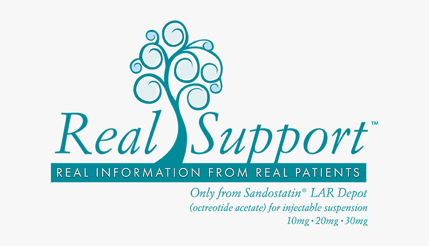 Realsupport™ - Dalet, HD Png Download