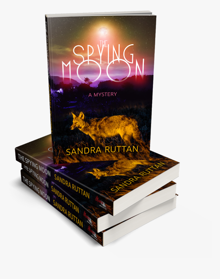 Flyer, HD Png Download