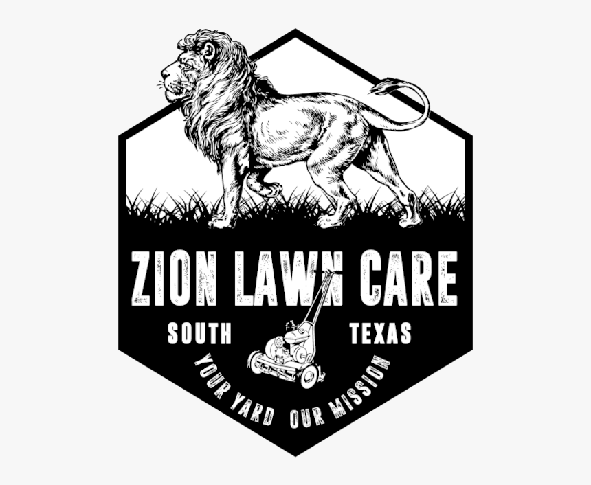 Bull Riding Png , Png Download - Lion Drawing Png, Transparent Png