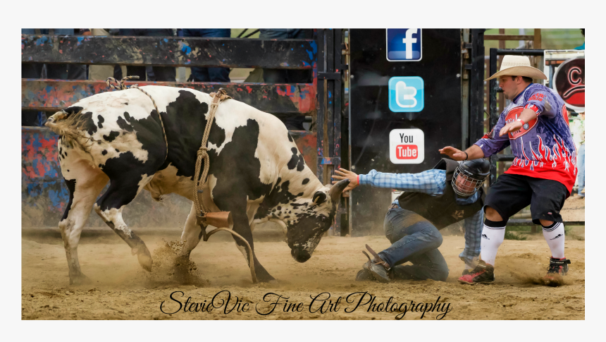 Bull Riding, HD Png Download