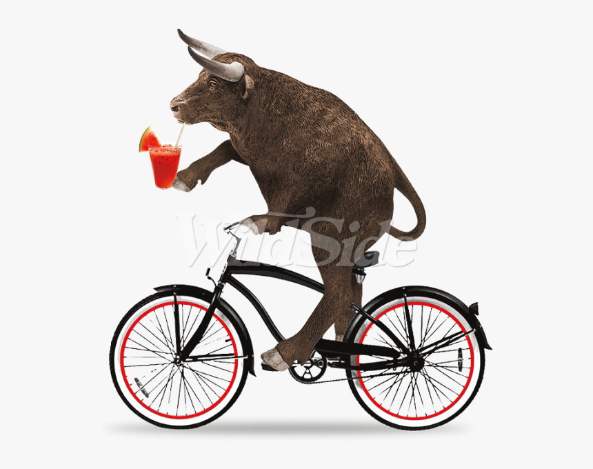 Clipart Bike Beach Cruiser - Bull Riding A Bicycle, HD Png Download