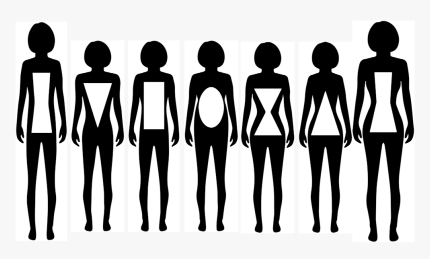 Body Types 02 Silhouette Hd Png Download Transparent Png Image Pngitem