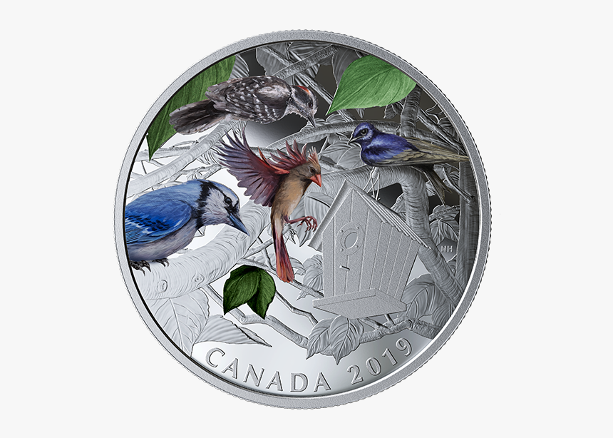 Birds In The Backyard Münze 2019, HD Png Download