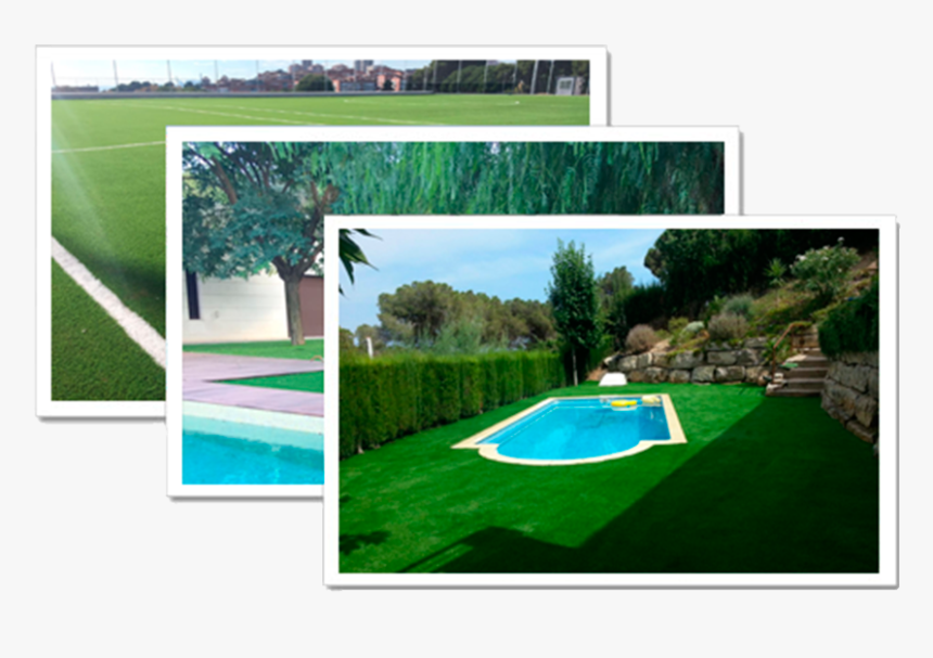 Transparent Cesped Png - Lawn, Png Download