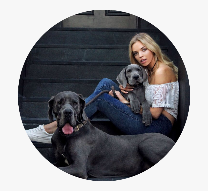 Test 3, HD Png Download