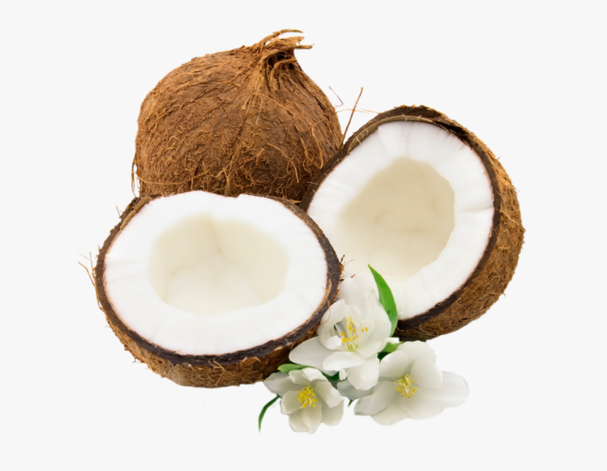 Coconut Png, Transparent Png