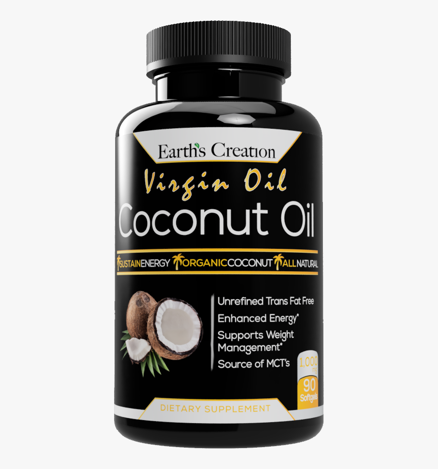 Coconut, HD Png Download