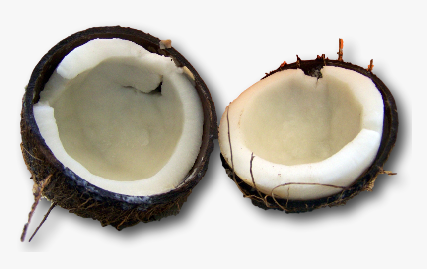 Coconut Oil Hair Treatment For Hair Loss And Dry, Damaged - Coconut, HD Png Download