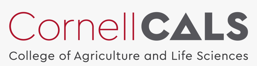 Parallel, HD Png Download