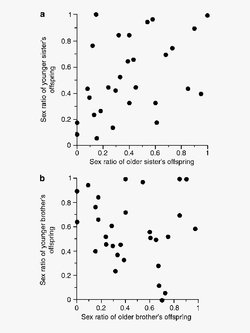 Document, HD Png Download