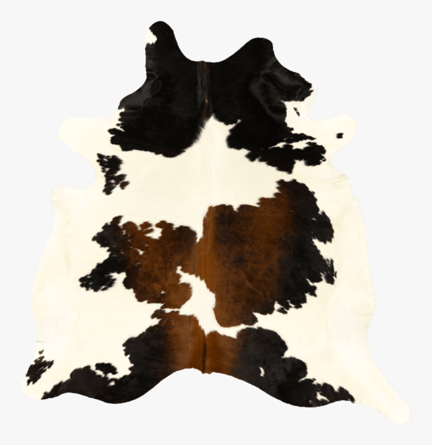 Tricolor - Visual Arts, HD Png Download