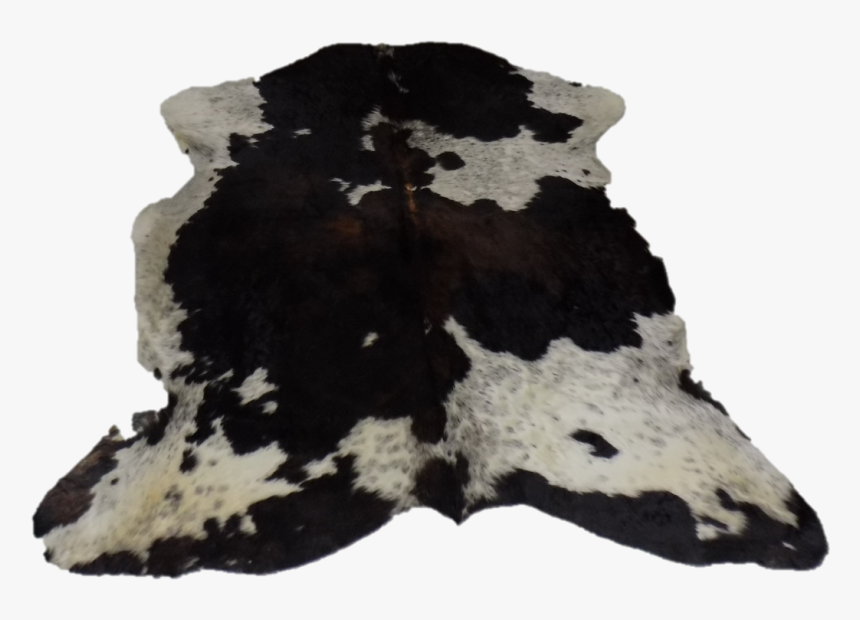 Moths And Butterflies, HD Png Download