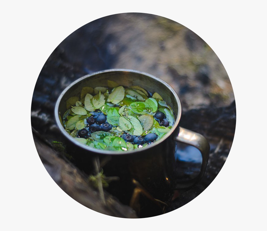 7day Bodysoul Writing - Кружка Чая В Лесу, HD Png Download