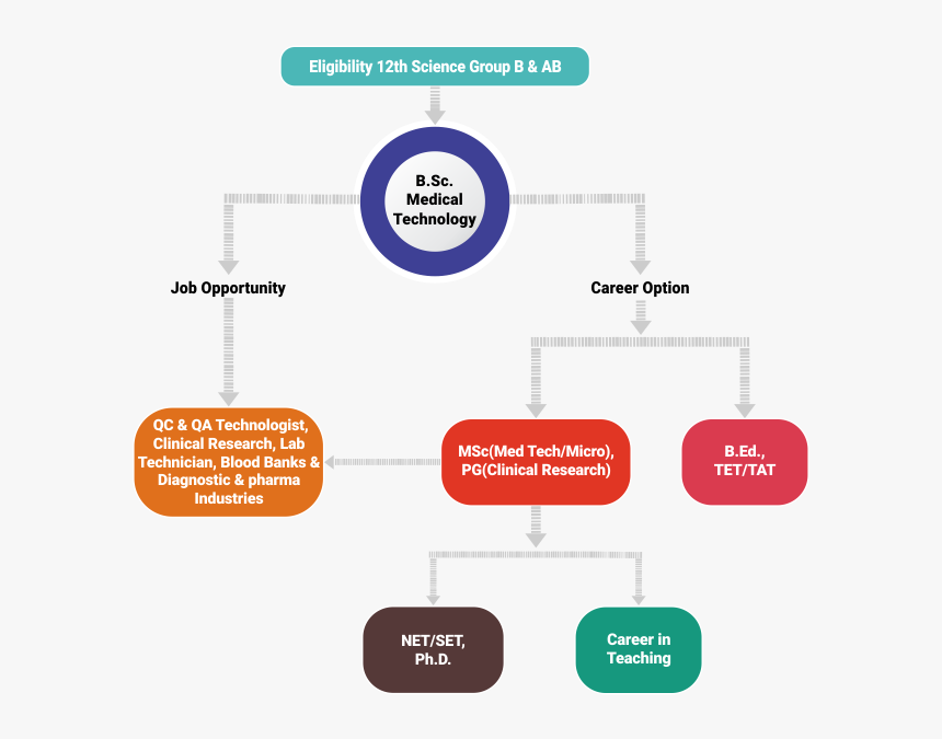 Diagram, HD Png Download