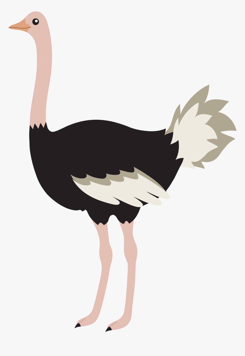 Clipart Ostrich, HD Png Download