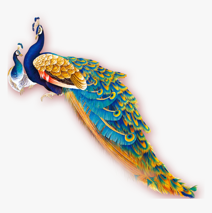 Peacock Png Download - Clip Art, Transparent Png
