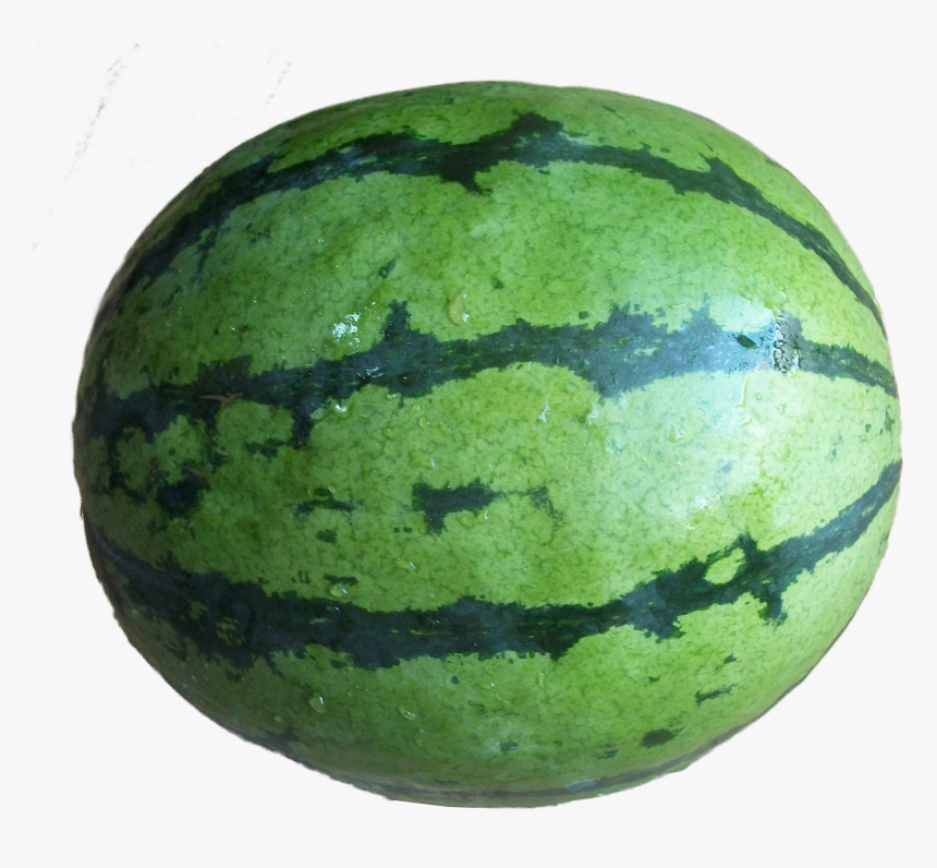 Water Lemon Full - Whole Watermelon Fruit Transparent, HD Png Download