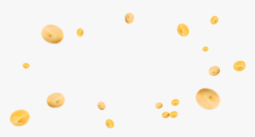 Sesame Png, Transparent Png