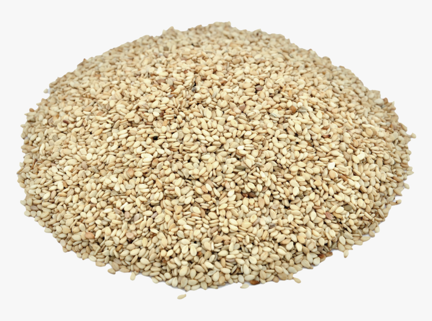 Herbs & Botanicals-sesame Seeds, HD Png Download