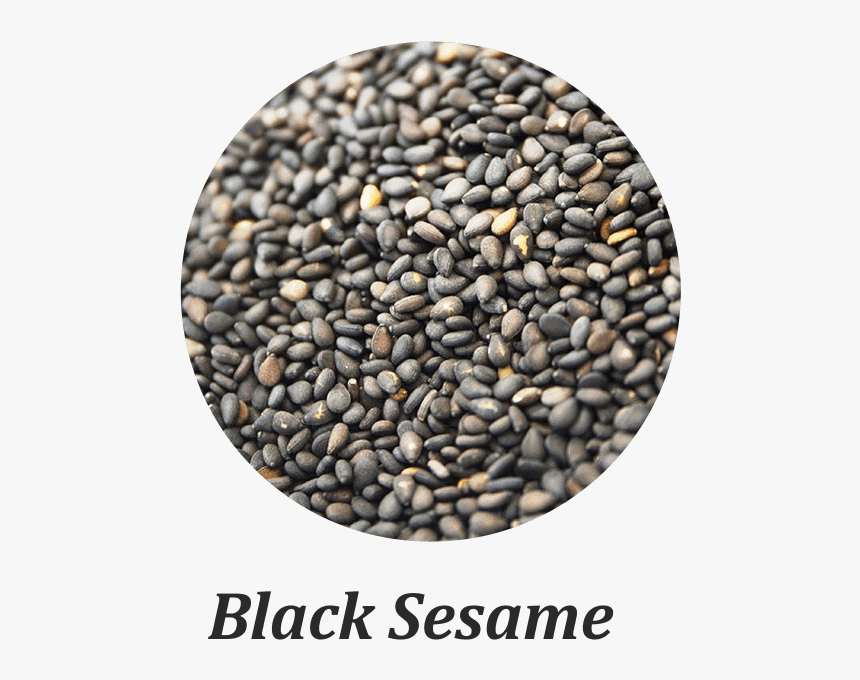 Bead, HD Png Download
