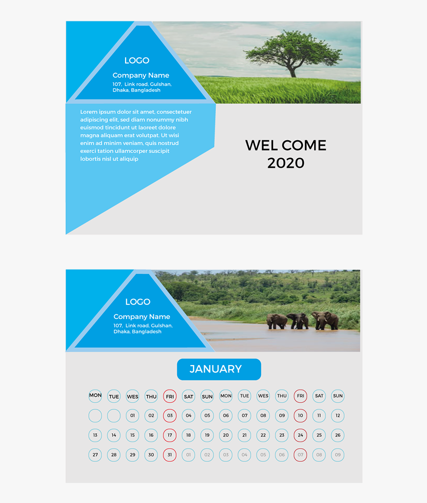 Palm Tree, HD Png Download