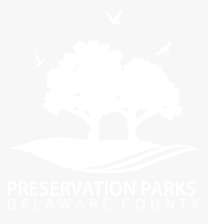 Graphic Design , Png Download - Illustration, Transparent Png