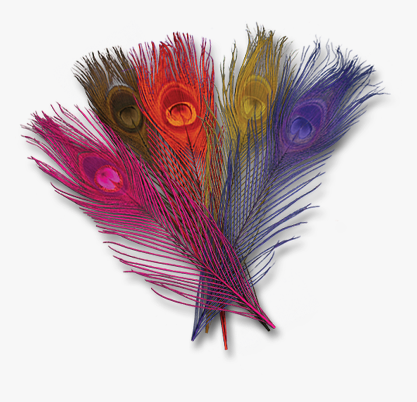 Dyed Peacock Eyes - Creative Arts, HD Png Download