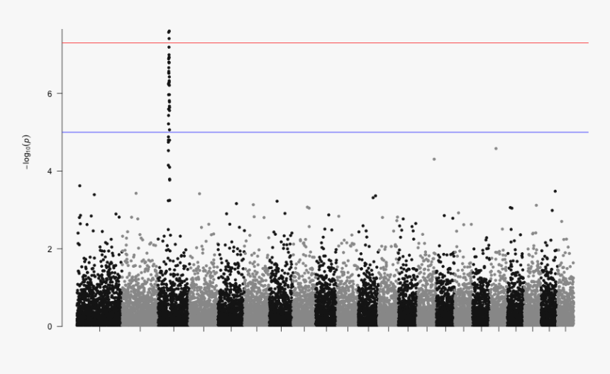 Gwas Manhattan Plot, HD Png Download