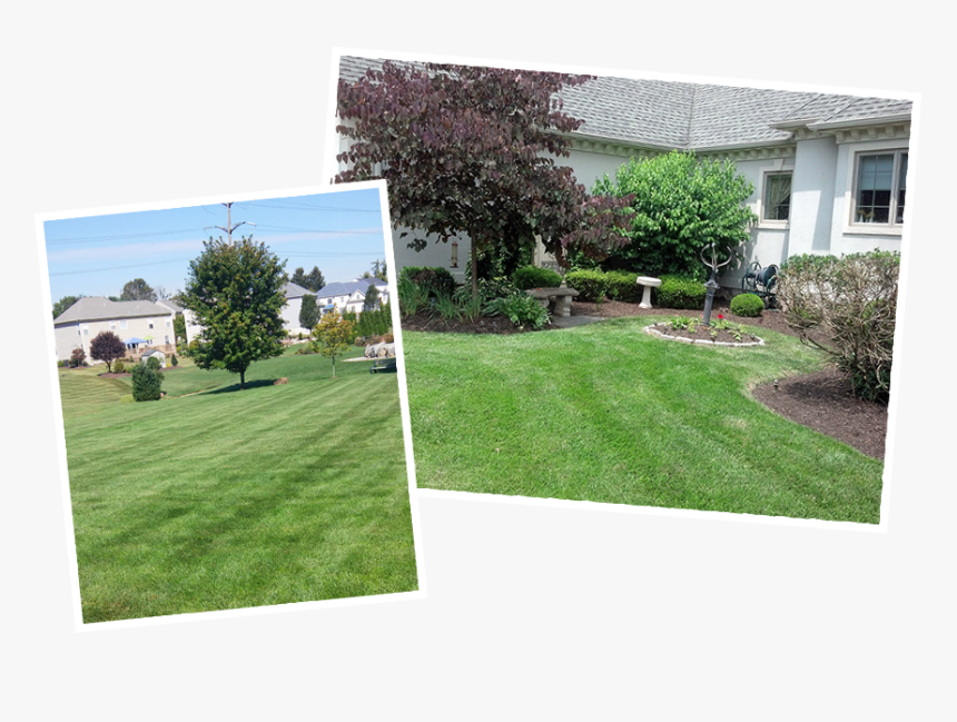 Lawn Care Photos - Lawn, HD Png Download
