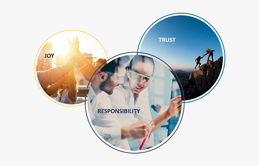 Berner Values - Health Care, HD Png Download