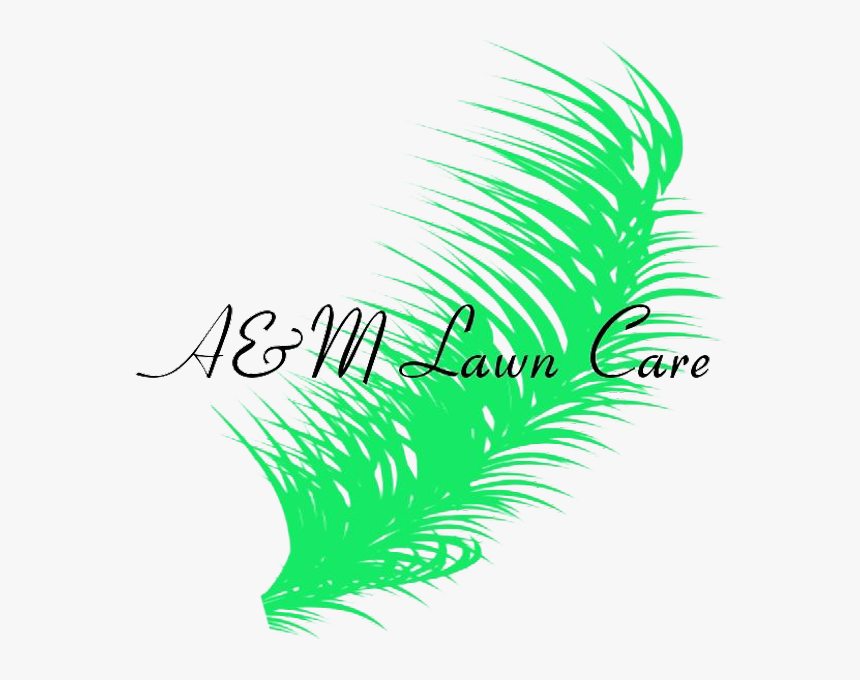 A&m Lawn Care - Illustration, HD Png Download