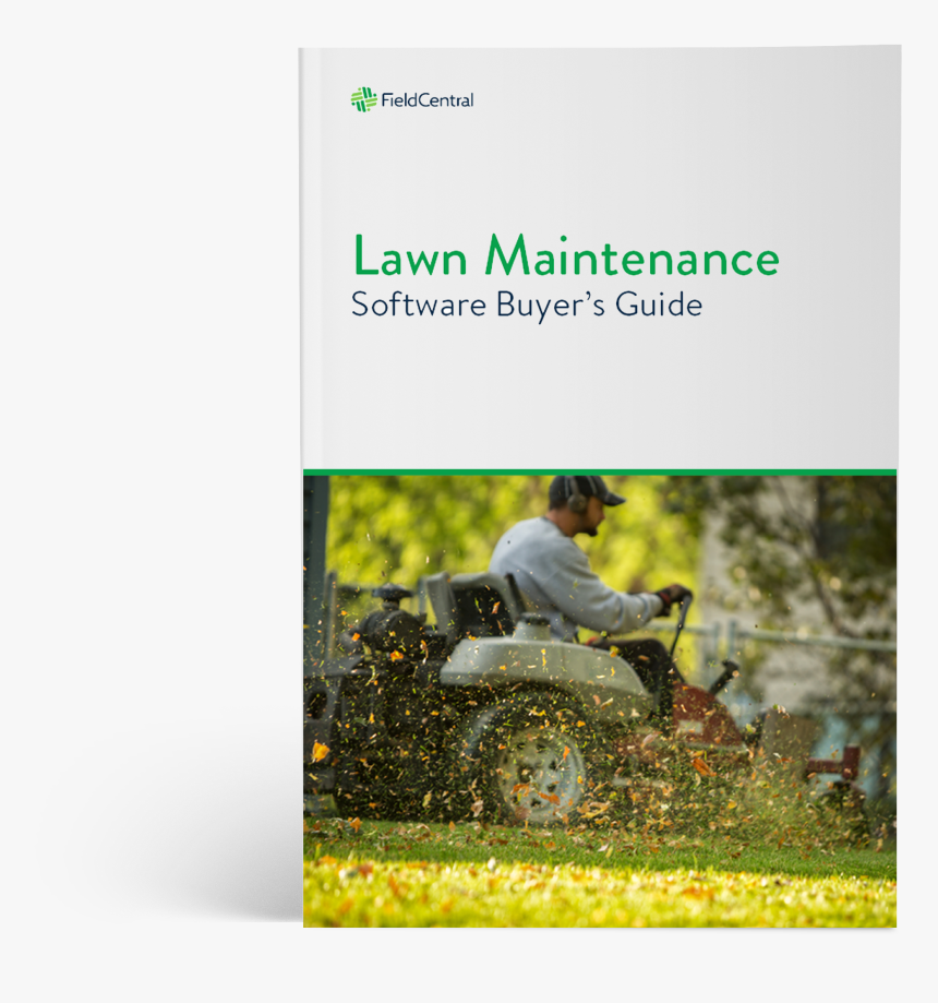 Grass, HD Png Download