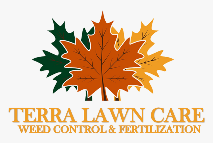 Maple Leaf, HD Png Download