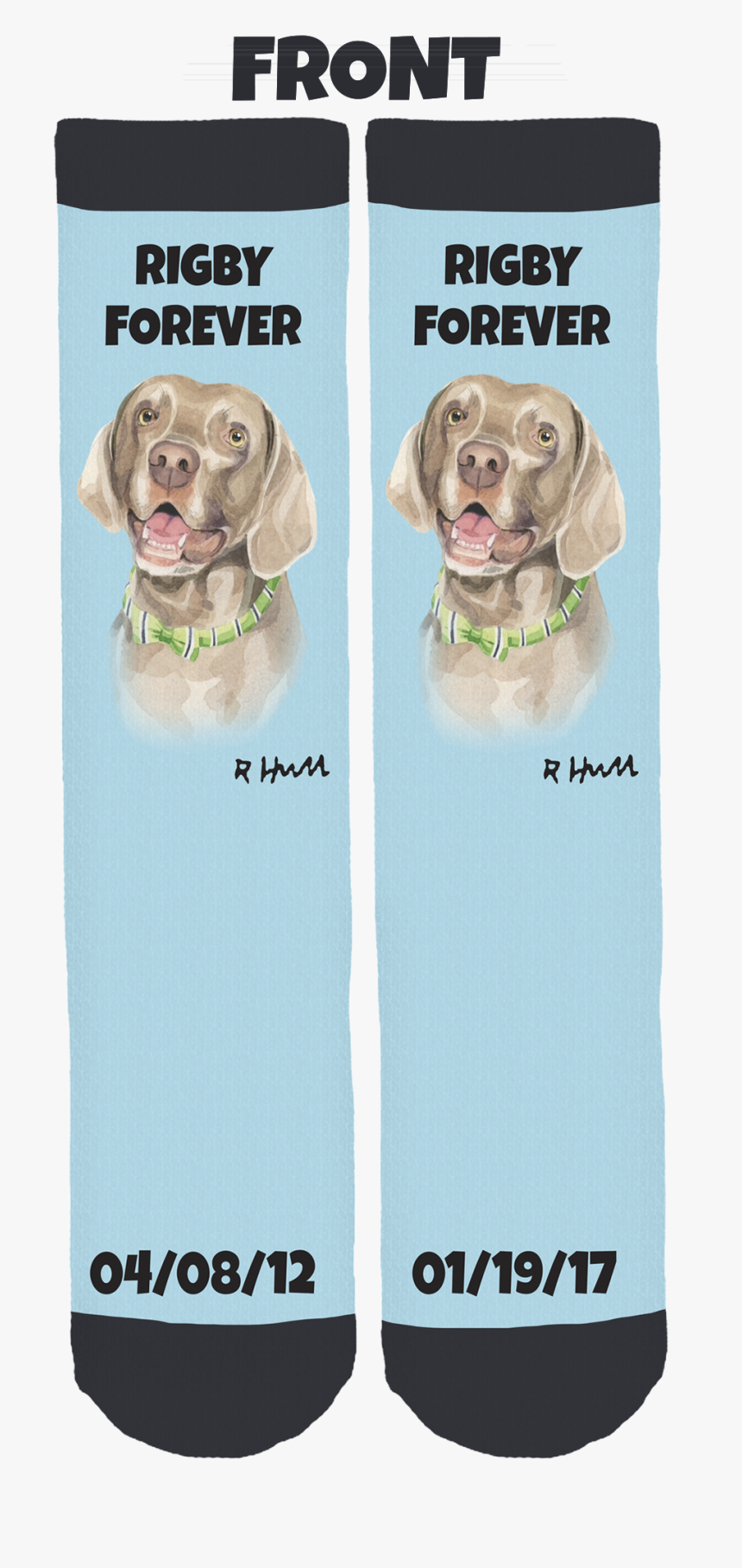 Weimaraner, HD Png Download