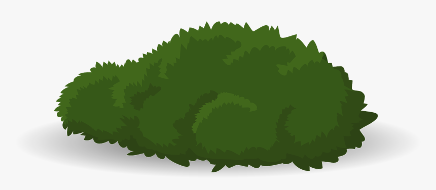 Bush, Verde, Arbusto, Hierba, Exuberante, Planta - Cartoon Tree Bush Png, Transparent Png
