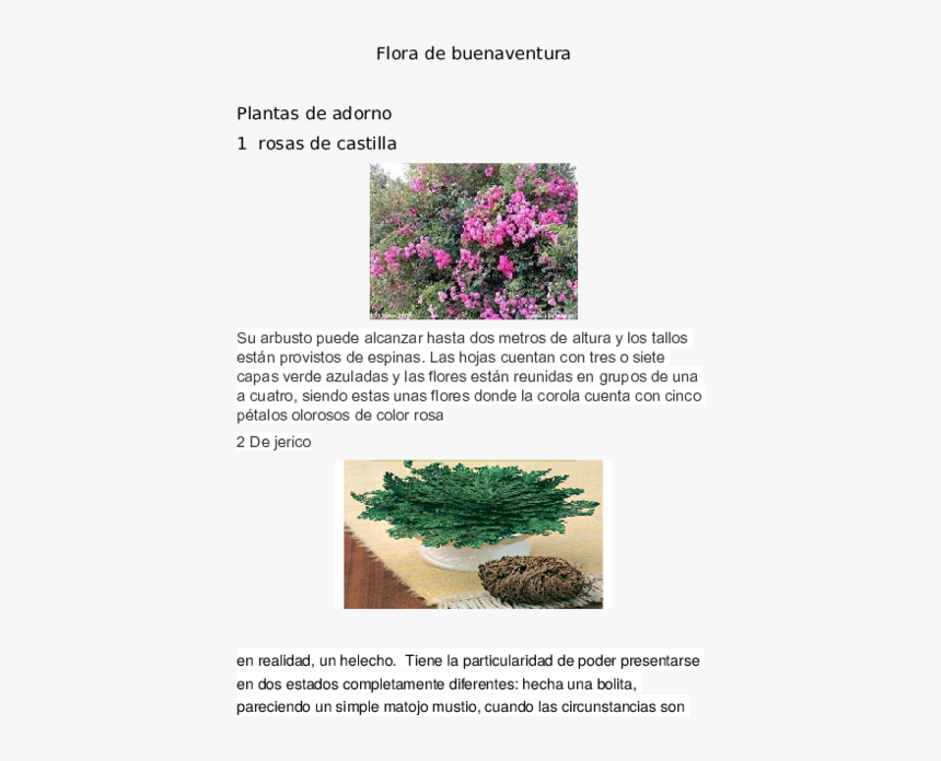Plantas Medicinales De Buenaventura, HD Png Download