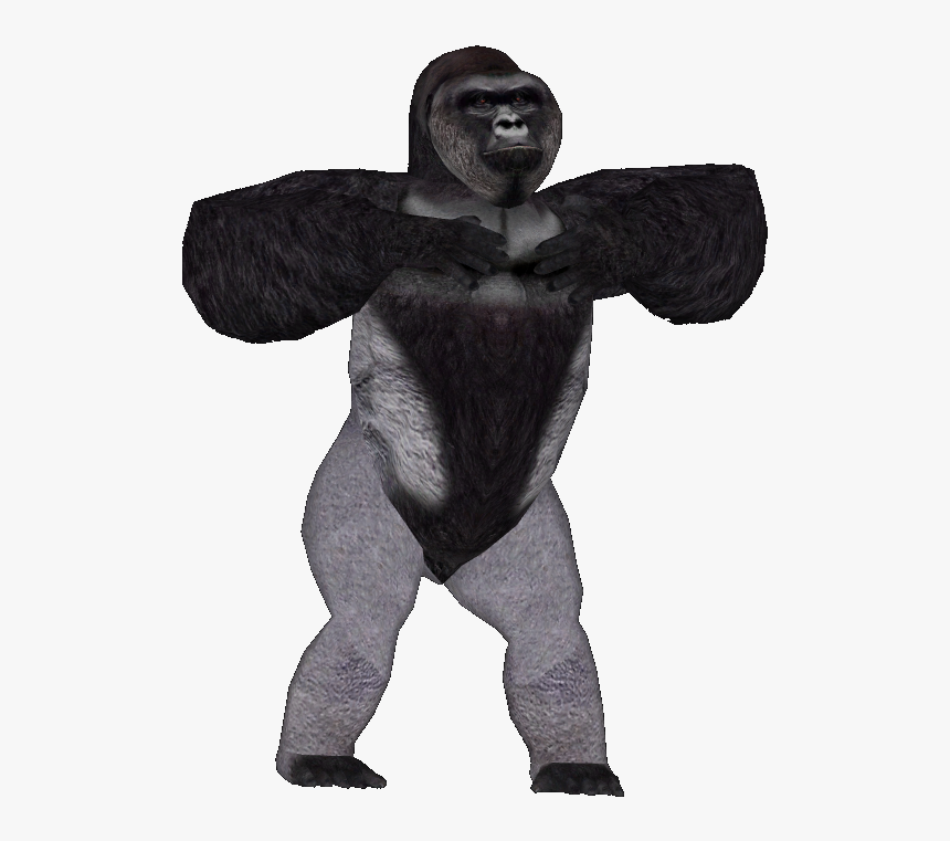 Harambe Transparent Background, HD Png Download