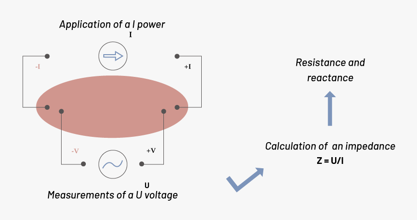 Diagram, HD Png Download