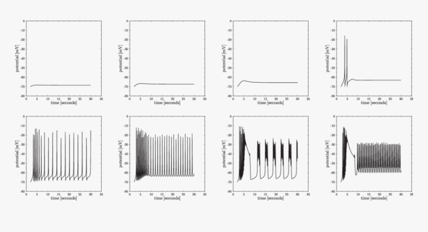Diagram, HD Png Download
