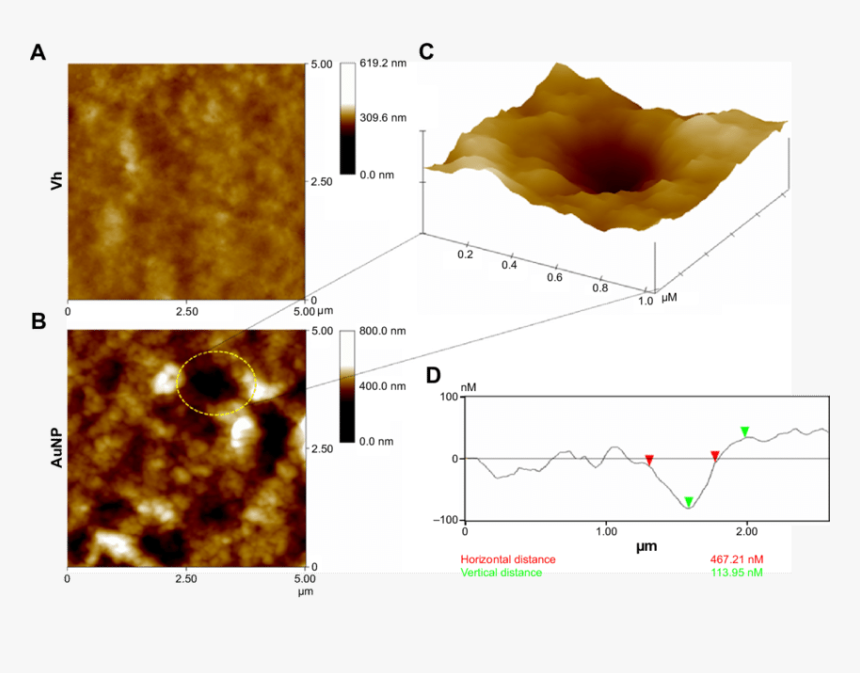 Diagram, HD Png Download