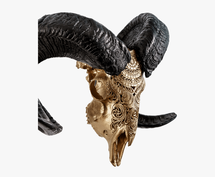 Carved Ram Skull - Statue, HD Png Download