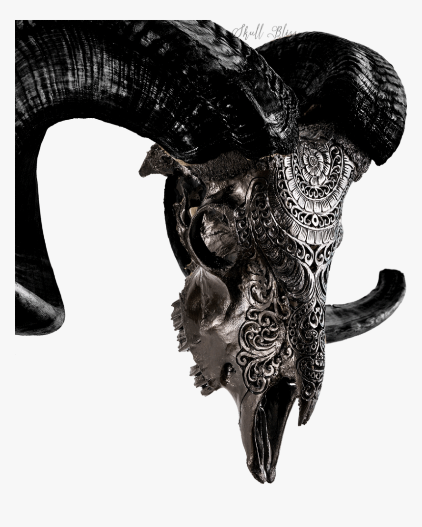 Black Carved Ram Skull, HD Png Download