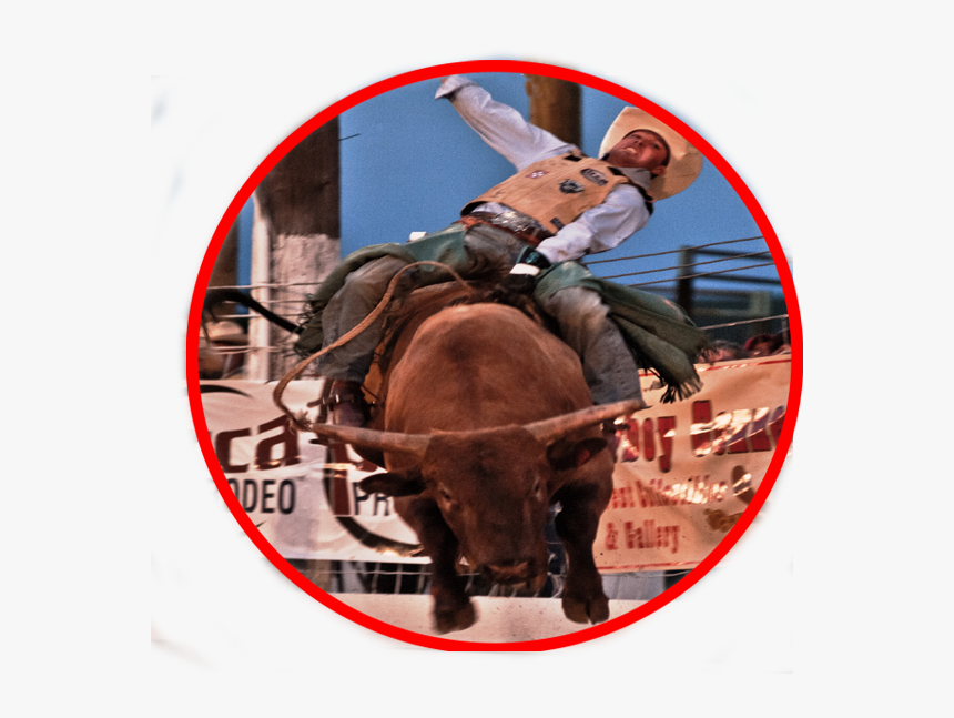Bull Riding, HD Png Download