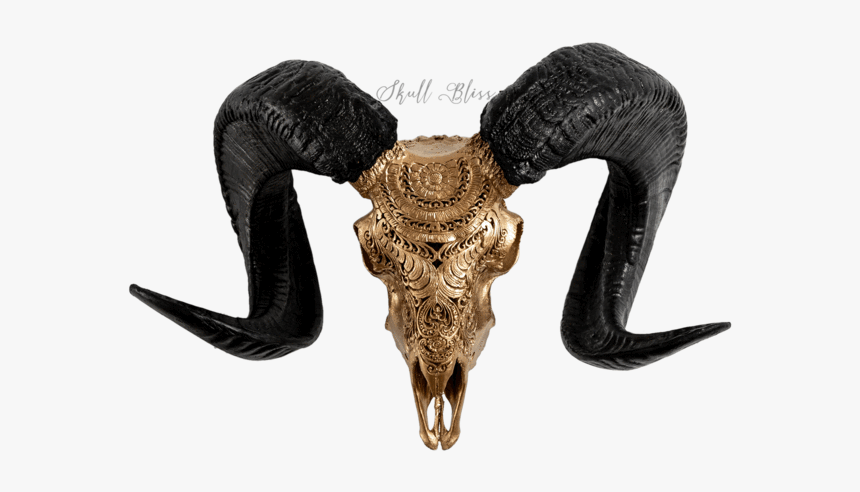 Carved Ram Skull - Buffalo Skull Gold, HD Png Download